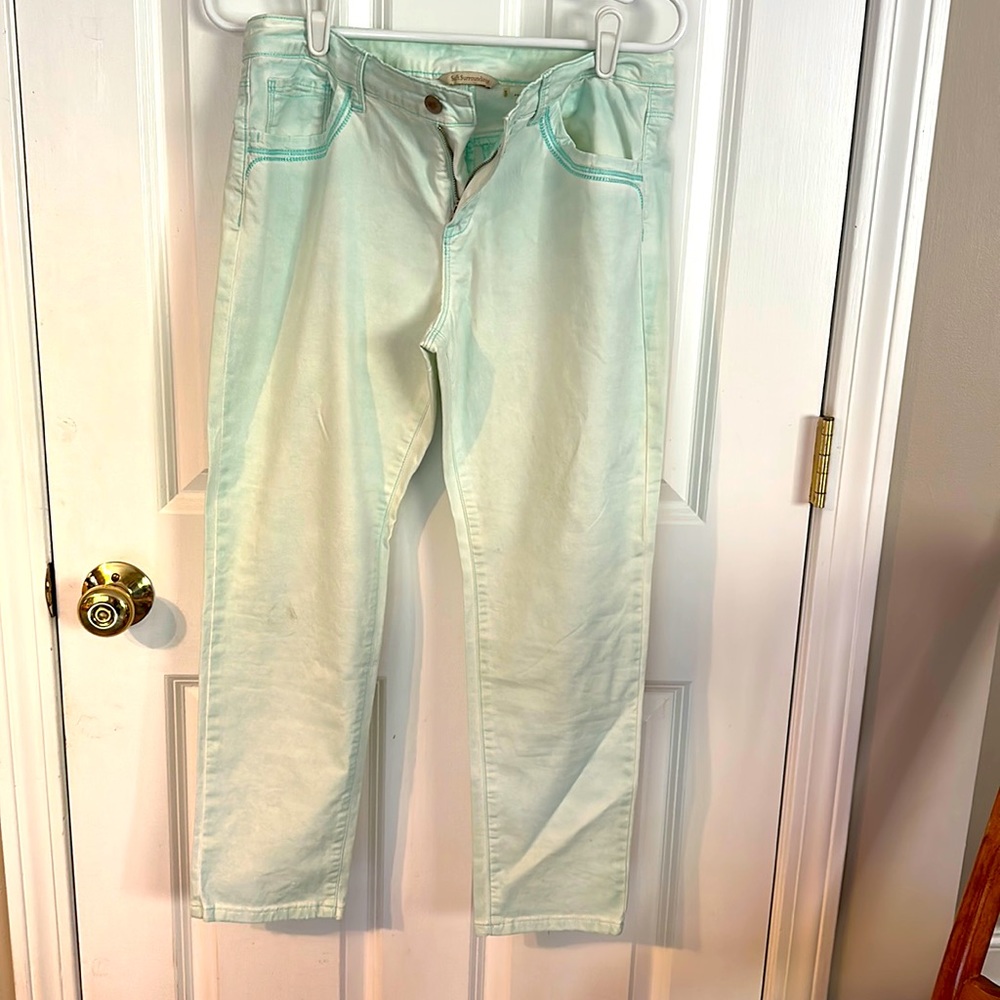 Soft Surroundings women’s light green summer pants